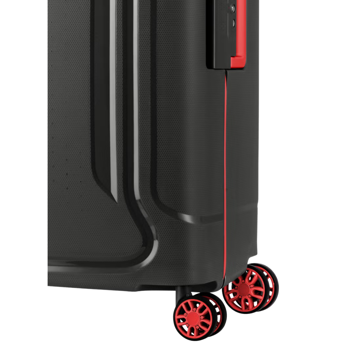 American Tourister Tribus