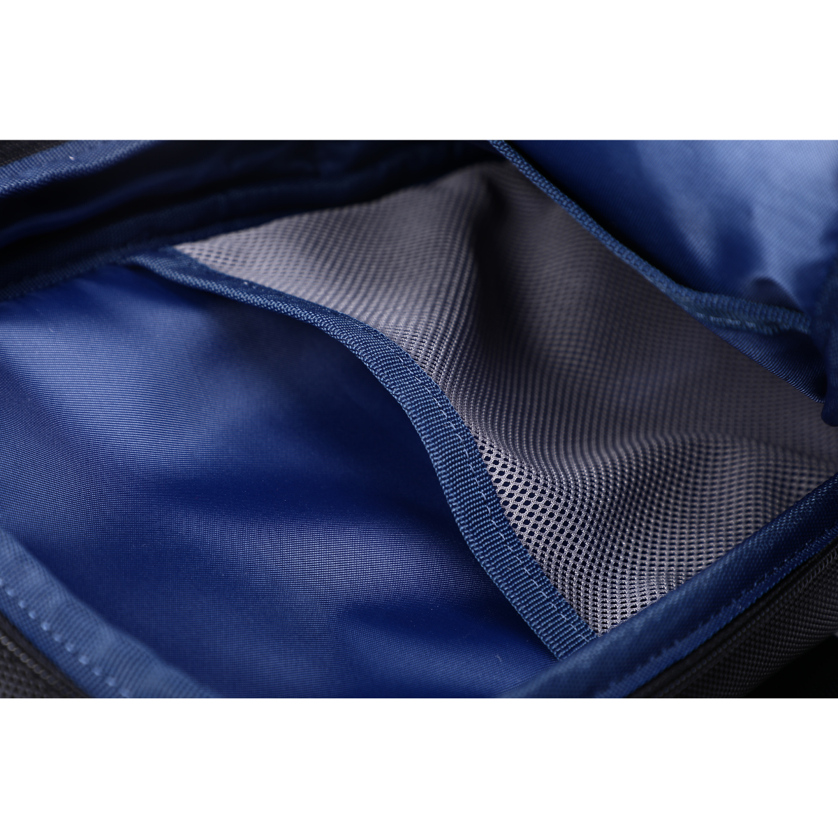 Lusetti Urban PULSE