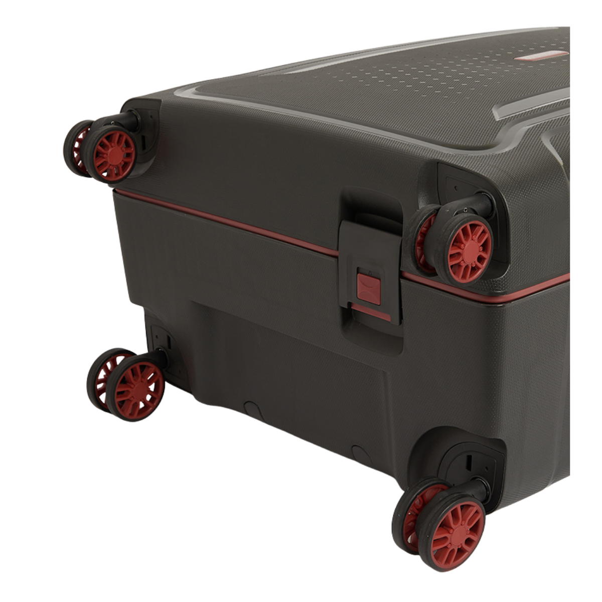 American Tourister Tribus